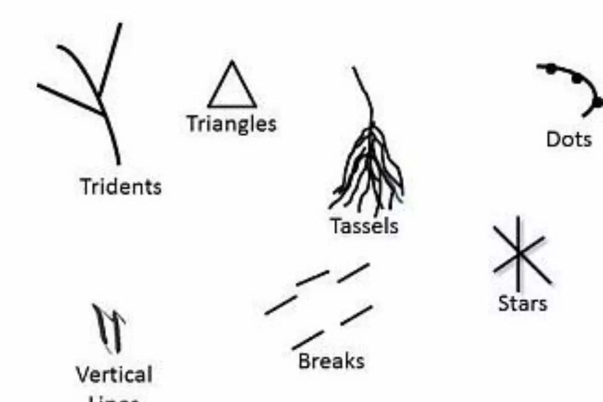 Meaning of different markings on your palm