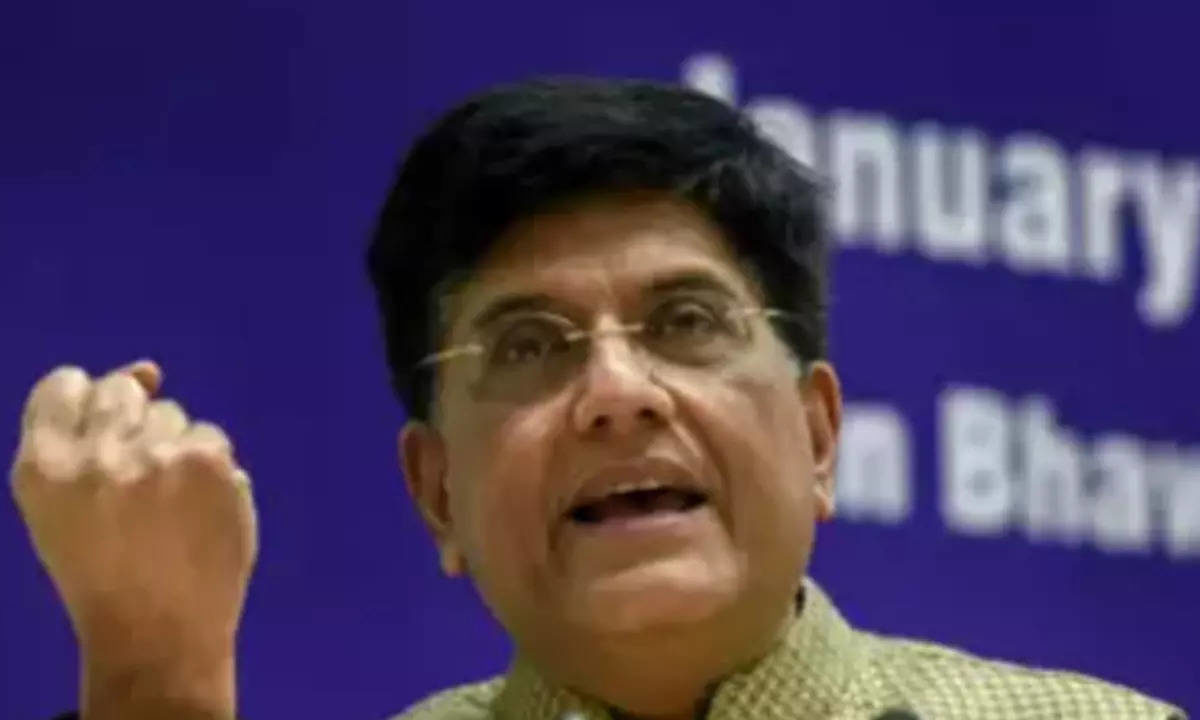 Safeguards put in place to prevent misuse: Piyush Goyal