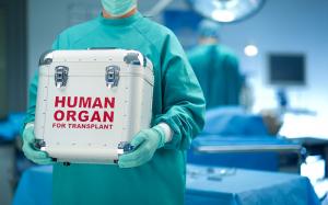India Organ Preservation Market Expanding at a CAGR of 7.7% during 2022-2027